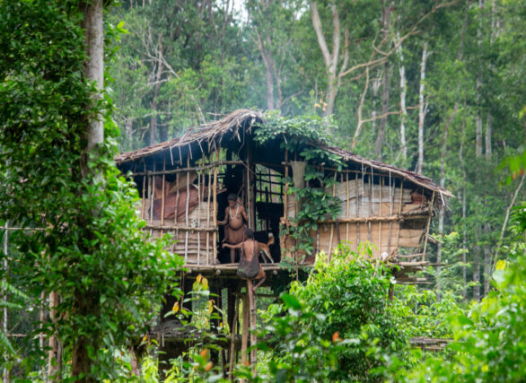 Indigenous Korowai People Indonesia