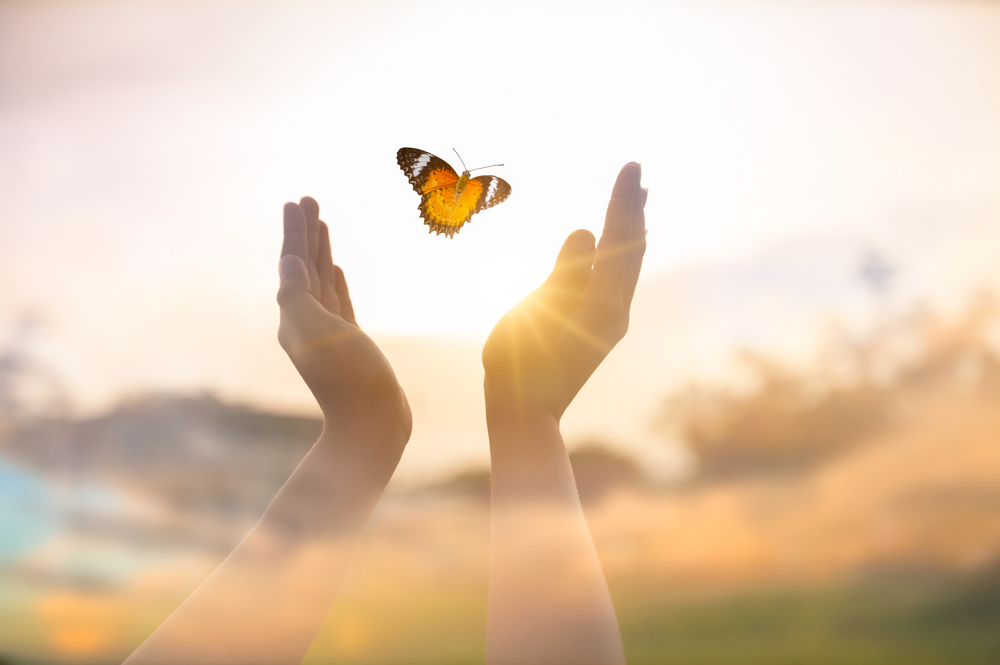 Spiritual shots of hands in the air and butterfly.