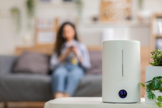 Woman sitting on couch, using humidifier.