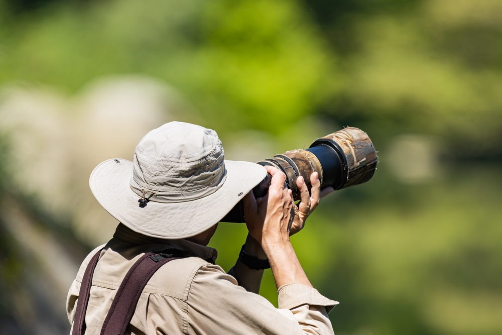 Wildlife photographer