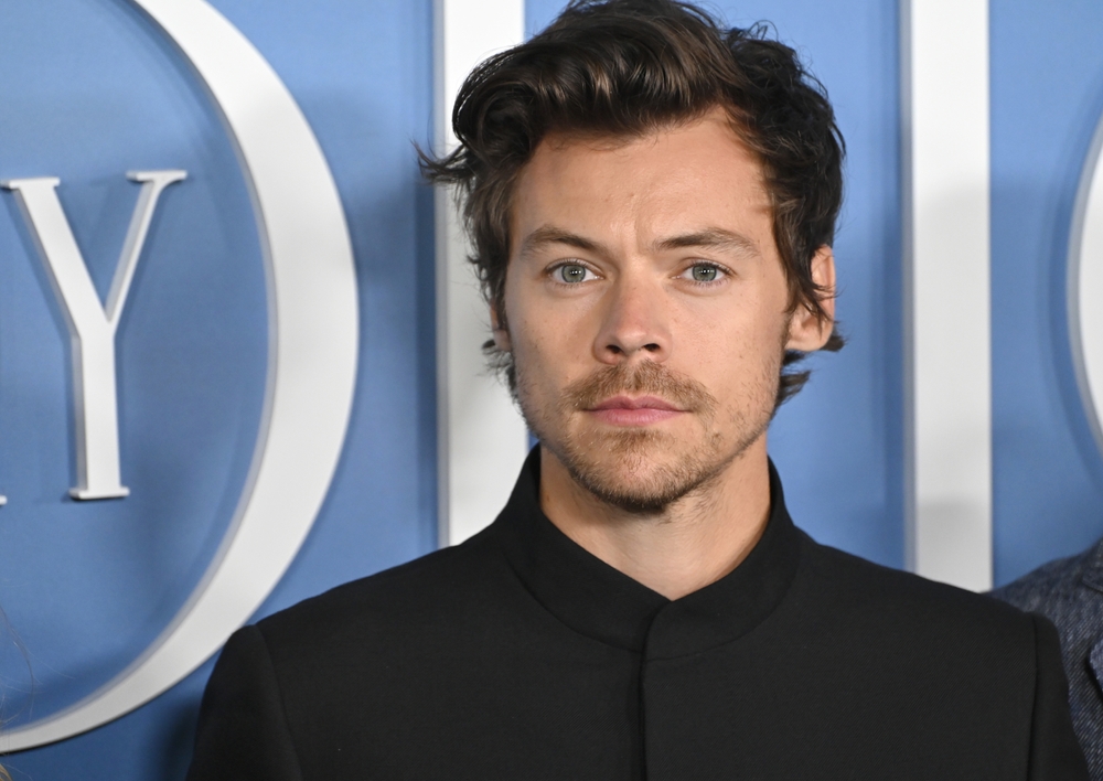 The handsome and talented Harry Styles