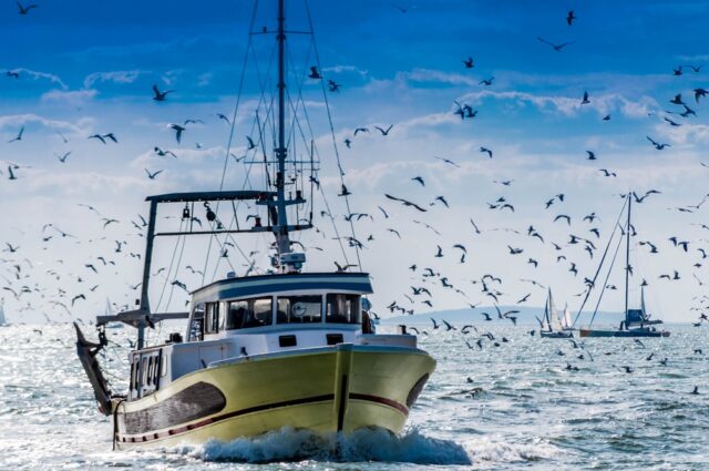 Deep sea fishing Boat returning to shore.