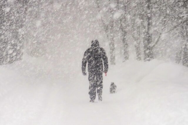 Walking dog in heavy snowfall.