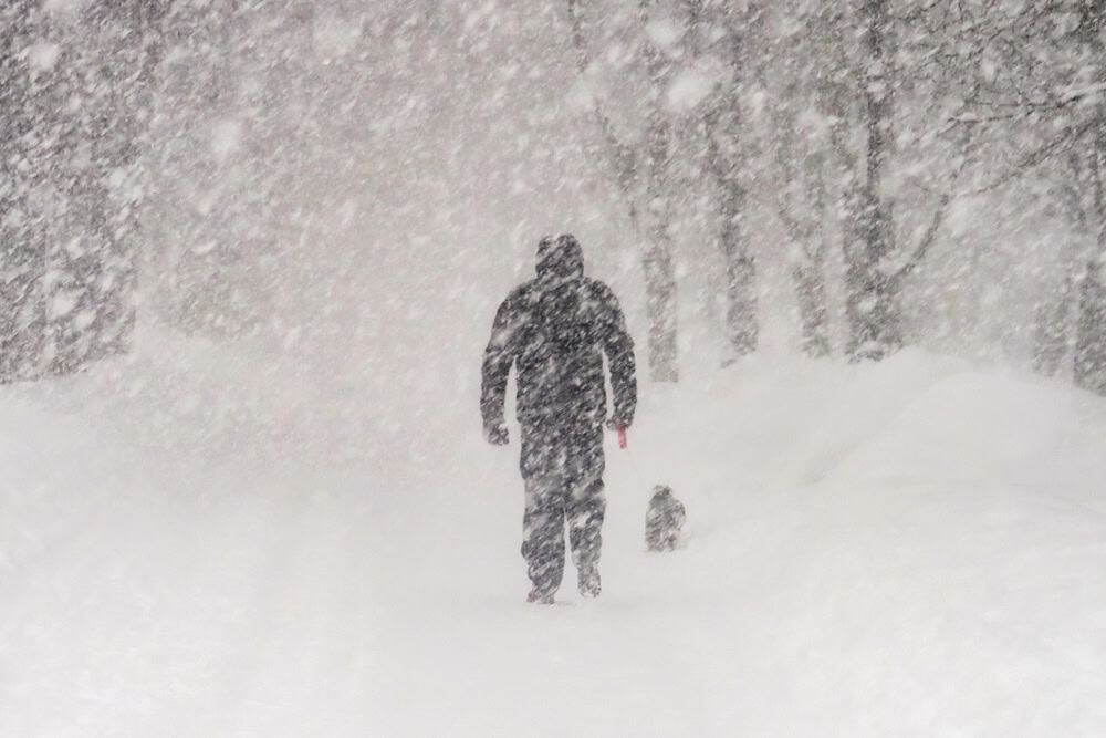Walking dog in heavy snowfall.