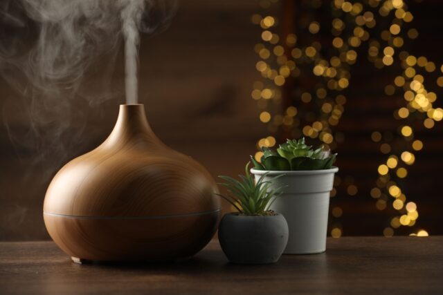 Essential oil Diffuser and Houseplants on wooden table.