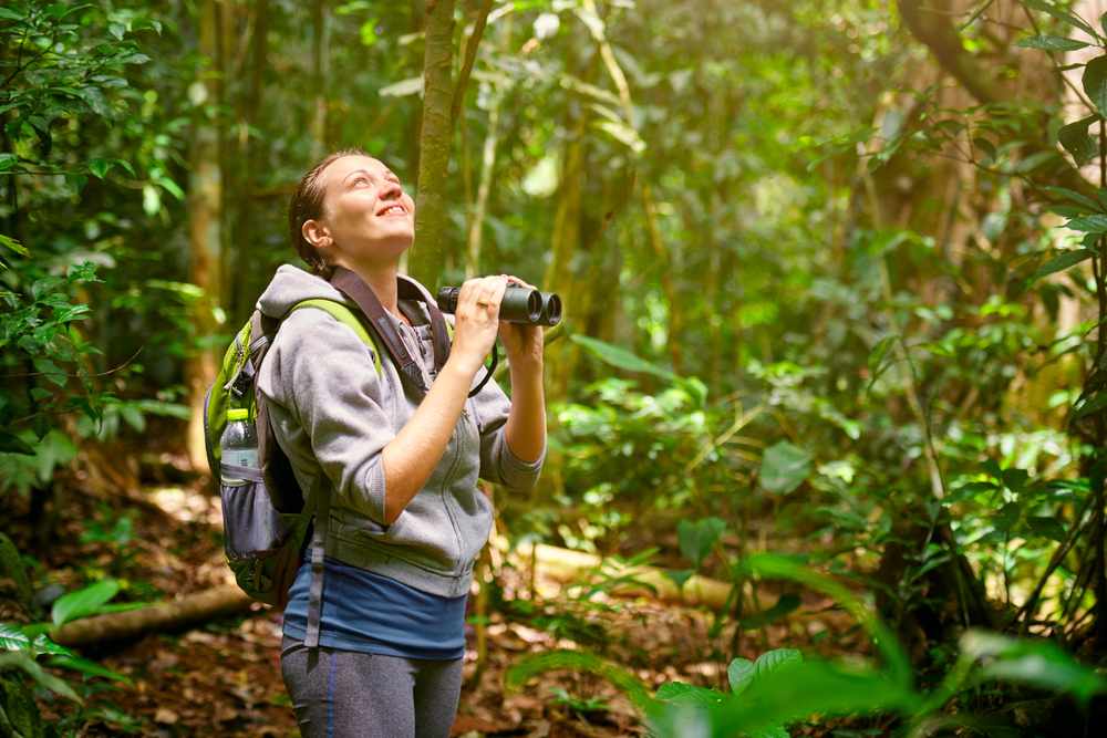 Wildlife hiker in jungle