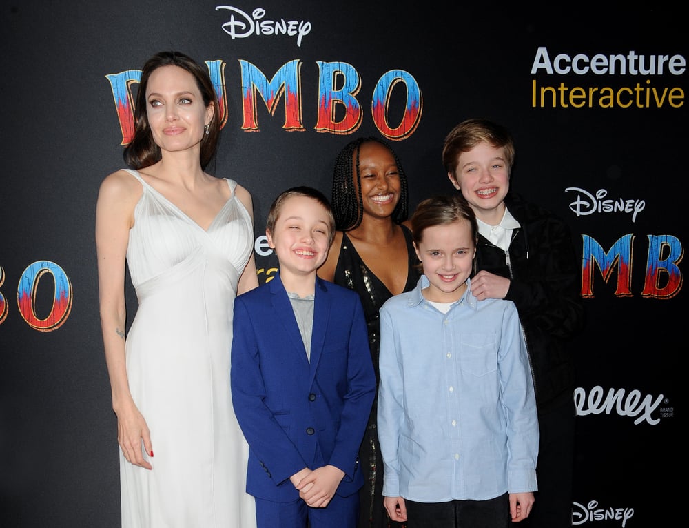 Angelina Jolie and her kids, Knox, Zahara, Marley, Vivienne, Marcheline andShiloh