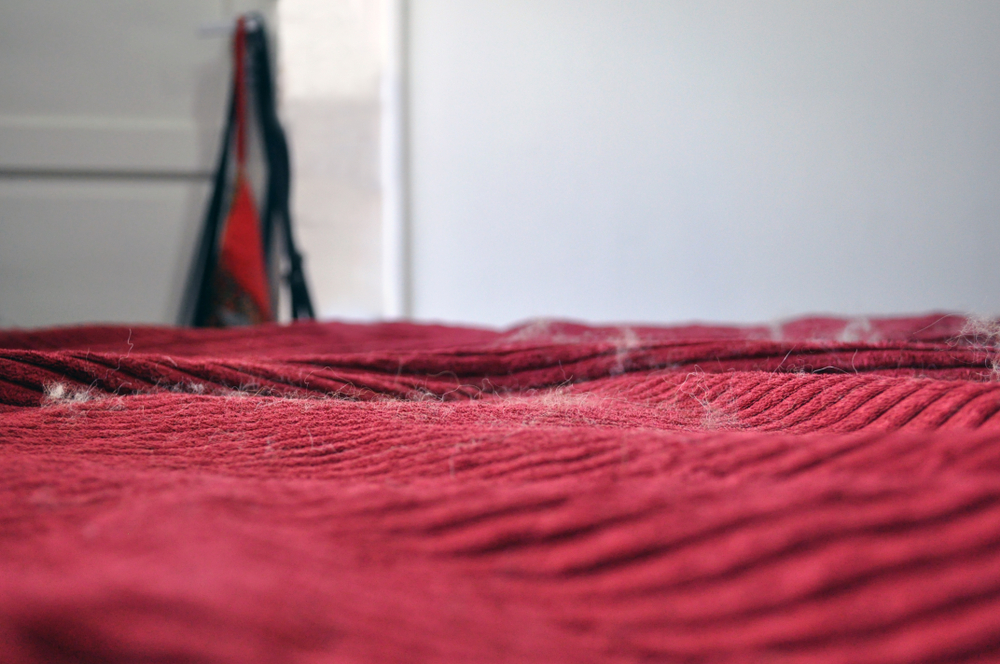 Red velvet bedsheets and bed covers with pet hairs