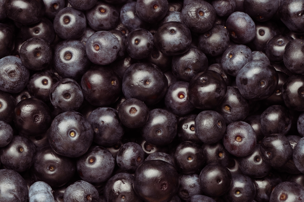 Ripe acai berries