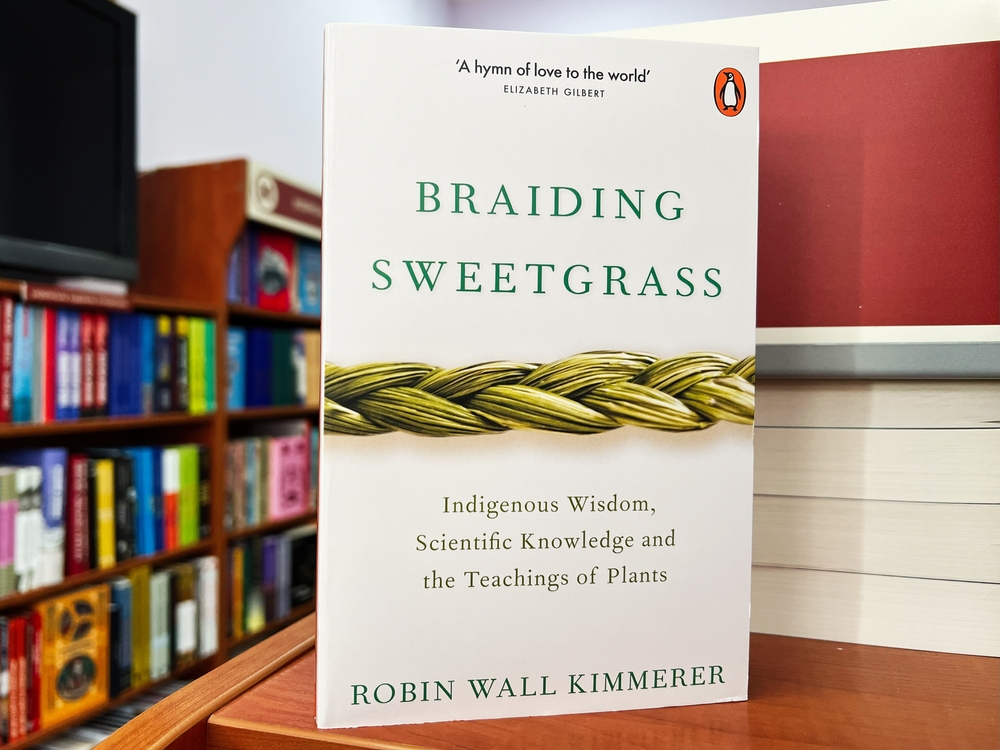 Cover of Braiding sweetgrass book