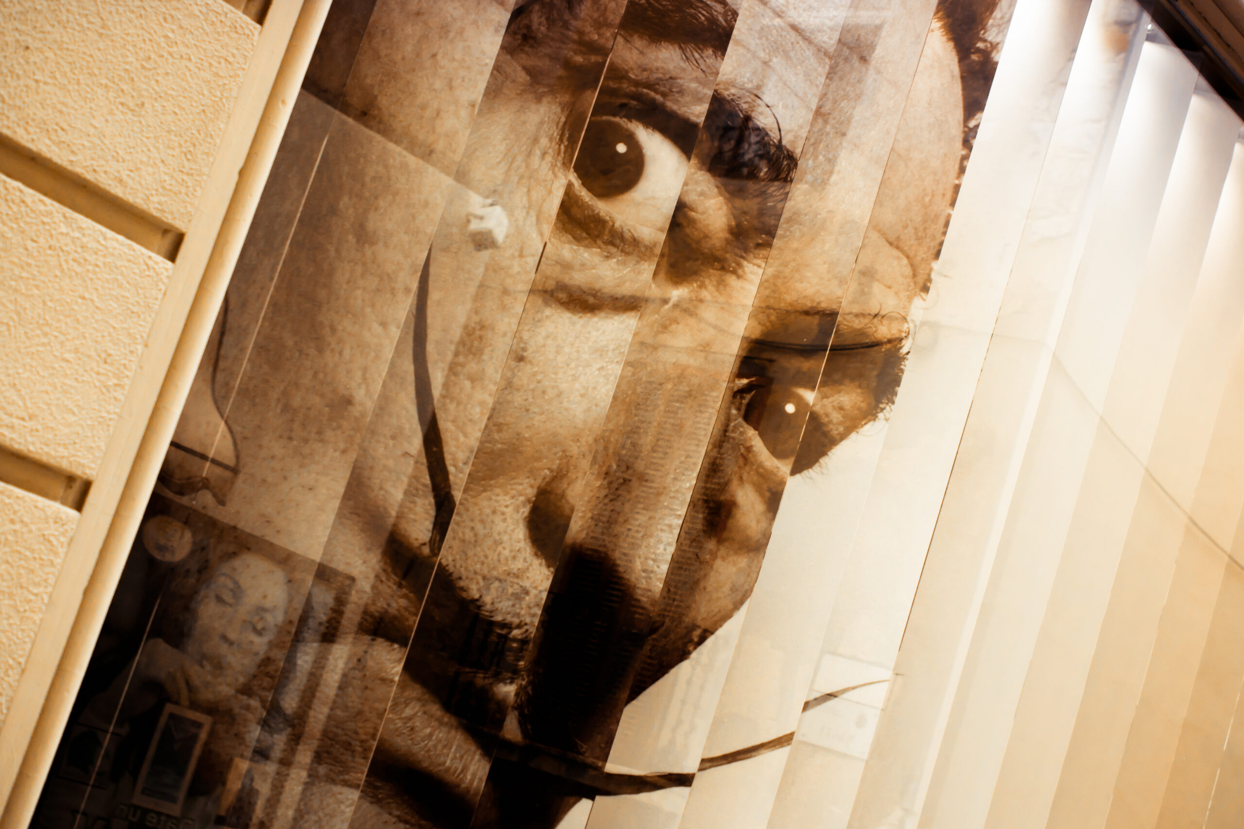 Salvidor Dali