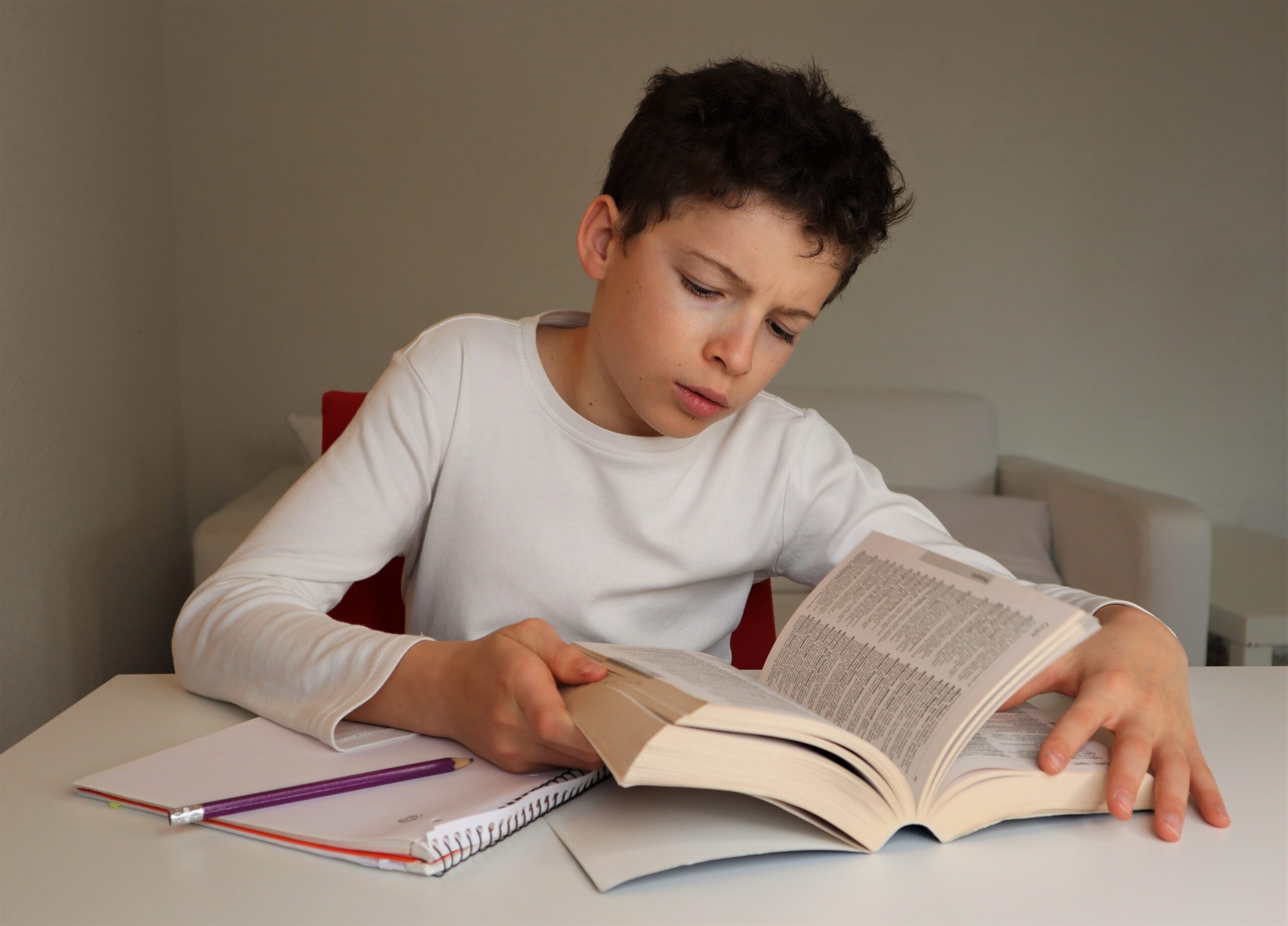 A studious young boy doing his schoolwork.