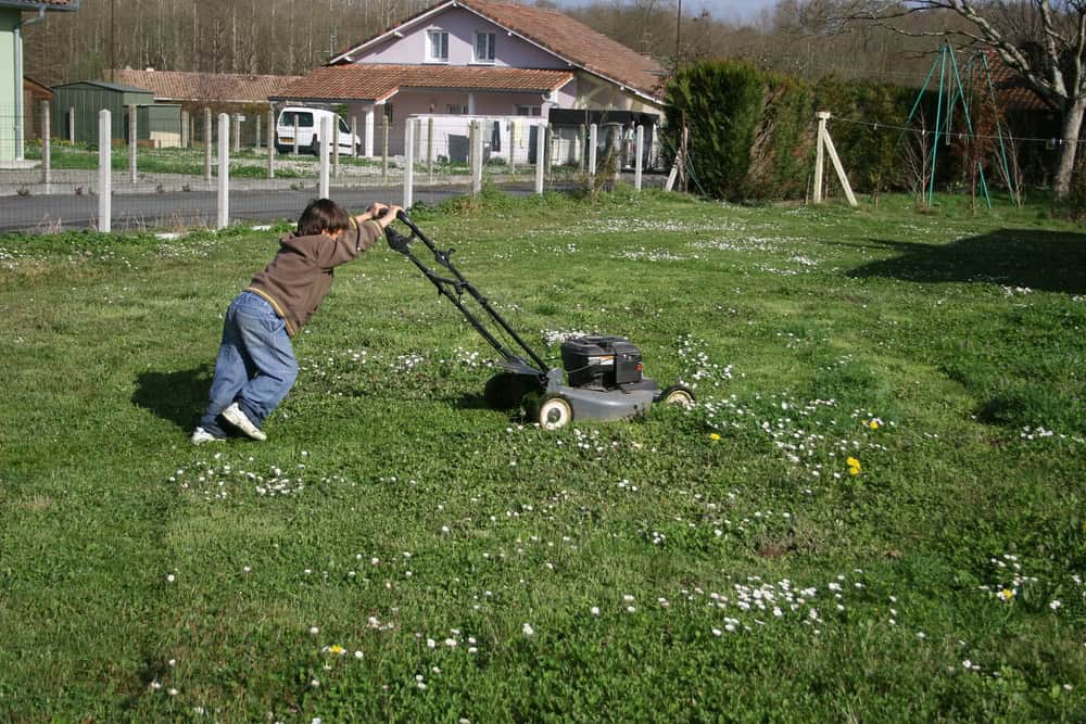 A young boy mowing his family's house overgrown lawn with a lawn mower