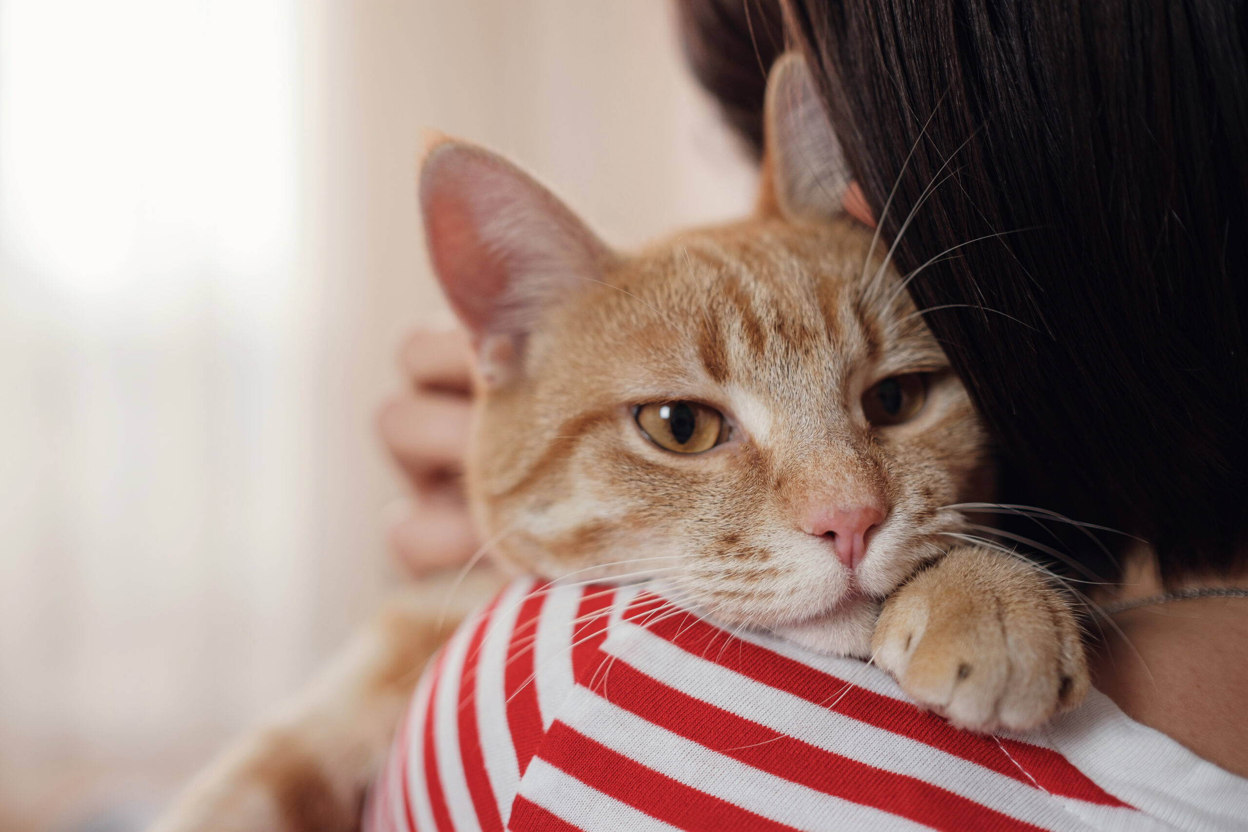 Woman relaxing with her ginger tabby cat on the sofa.