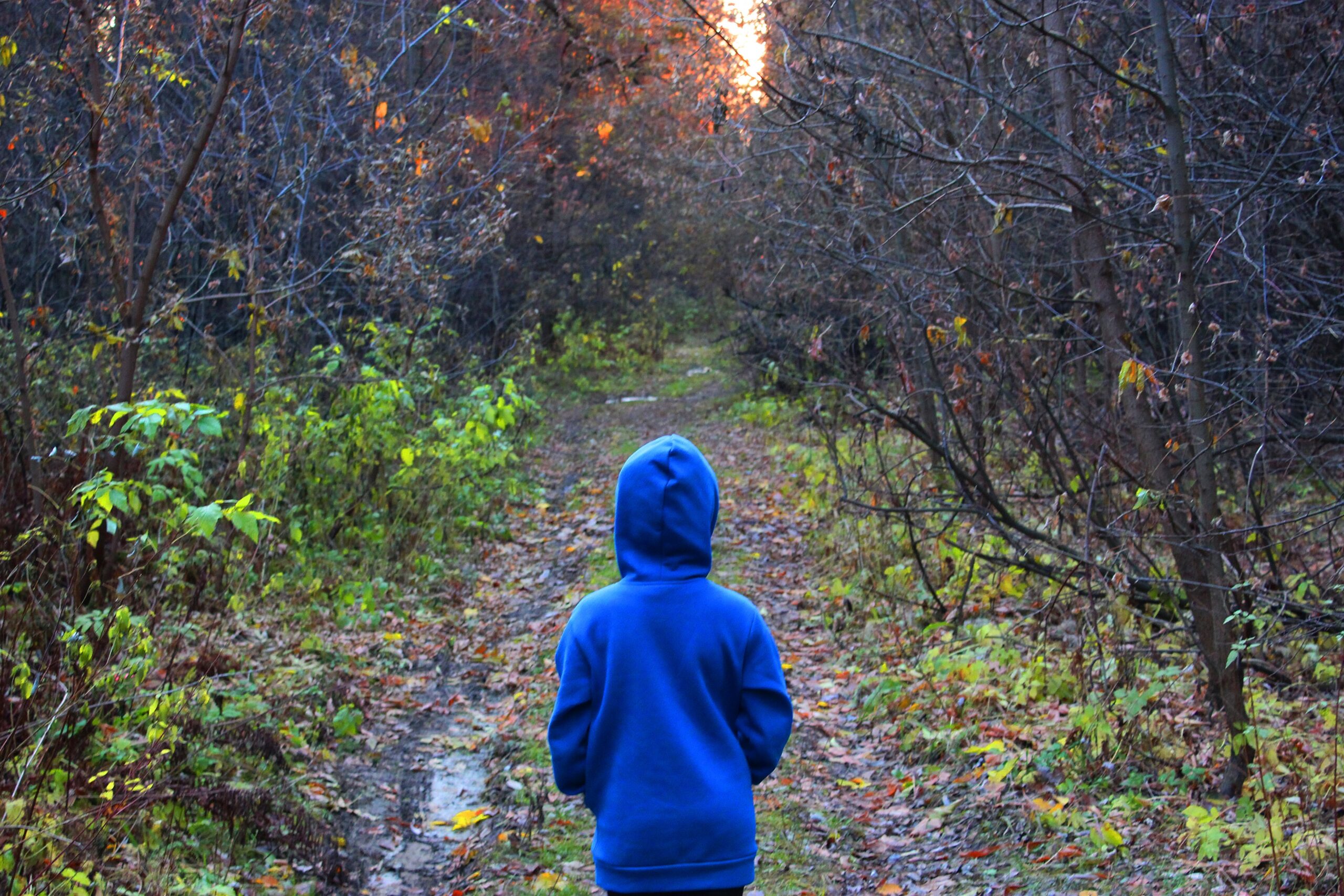Child walking in the woods alone.