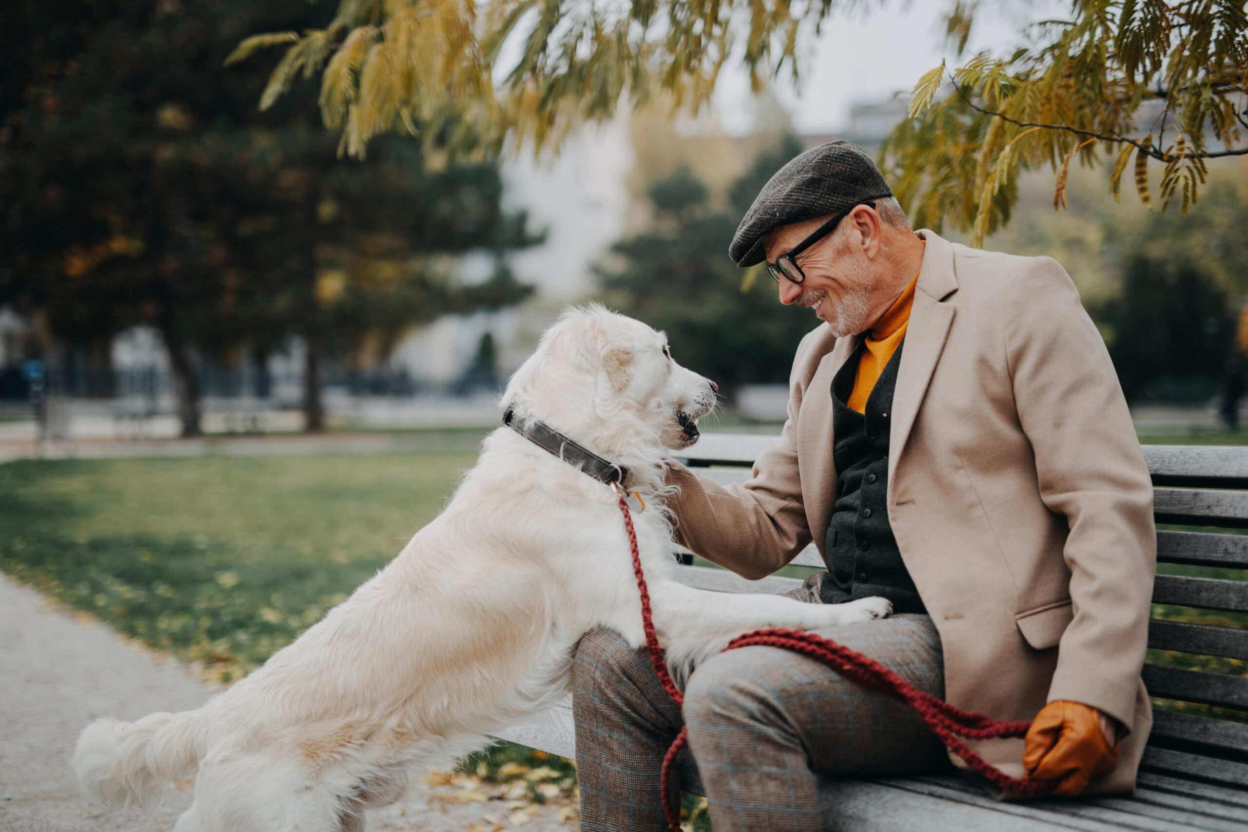 A content senior man sitting on a bench embracing his dog.