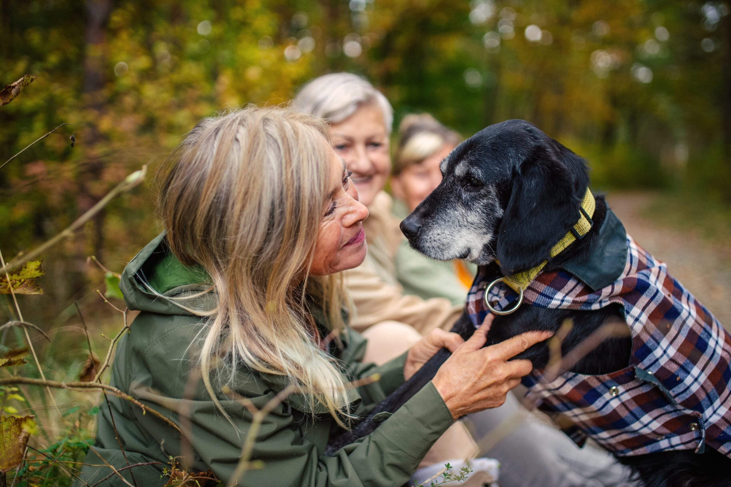 A group of active seniors on a hike with their dog.