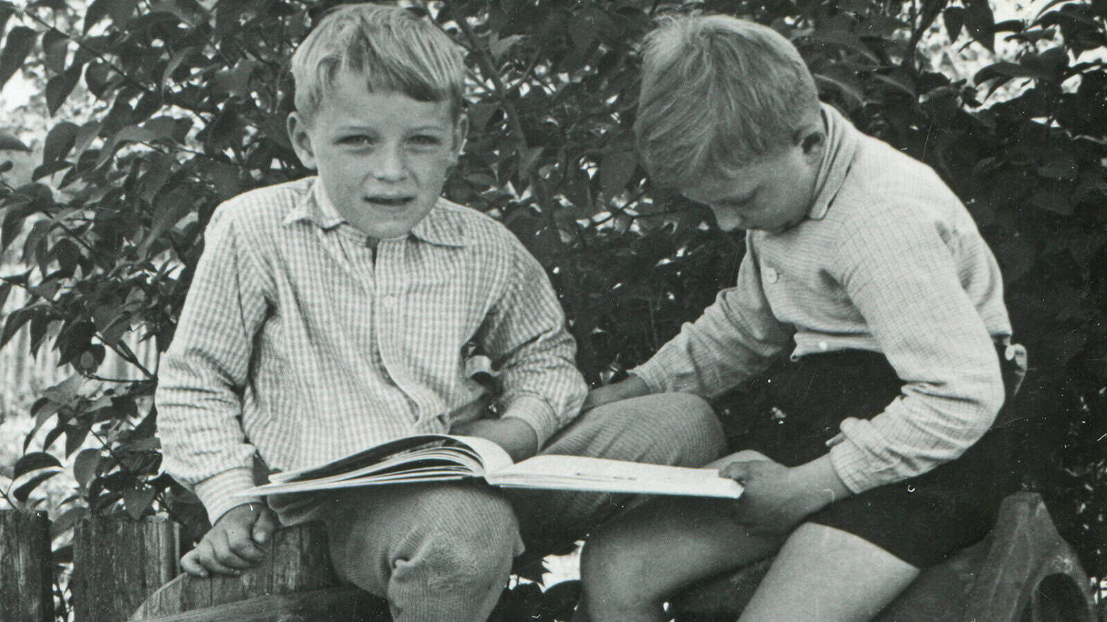 Two young boys sit outside on a wooden fence, one reading a book while the other looks down at the pages. Trees with leafy branches are in the background. Both boys wear long-sleeve shirts and shorts.