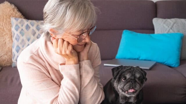 An older woman with glasses sits on a couch, resting her chin on her hands, and looks at a small black dog. Cushions and a closed laptop are on the couch behind them.