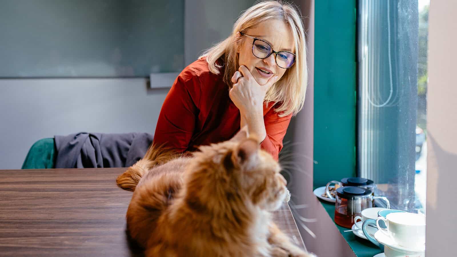 A woman with glasses and a red shirt smiles while looking at a fluffy orange cat lying on a wooden table near a window with sunlight.