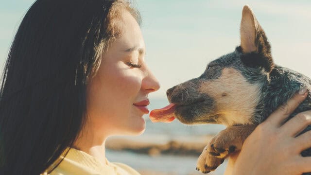 A woman smiles with her eyes closed as she holds a puppy licking her nose. They are outdoors with soft sunlight and a blurred background.