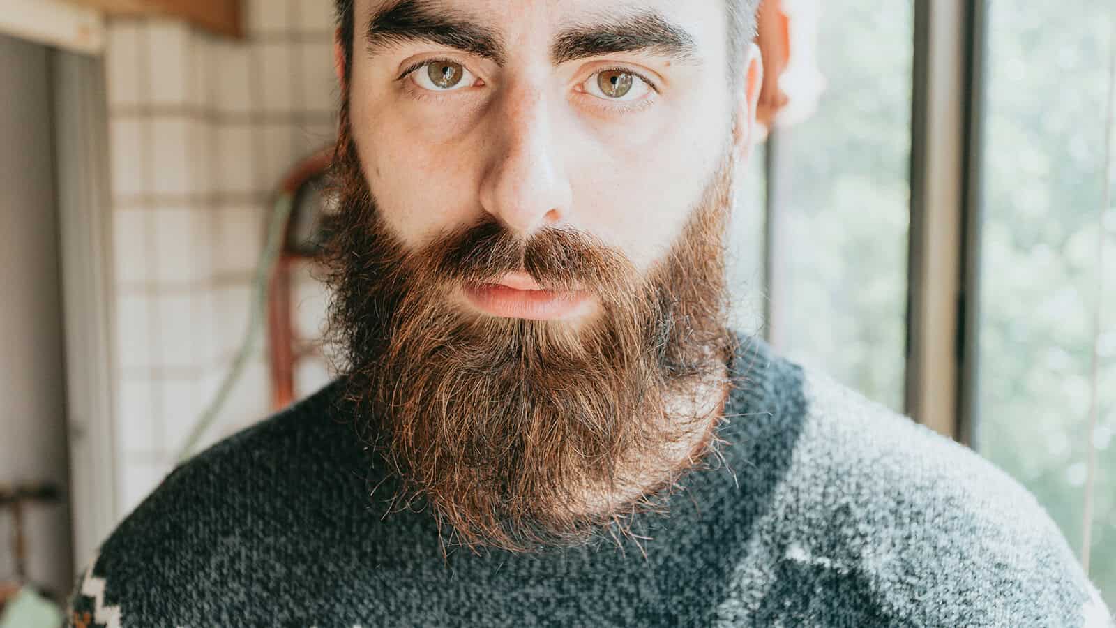 A close-up portrait of a man with a thick beard wearing a grey sweater.