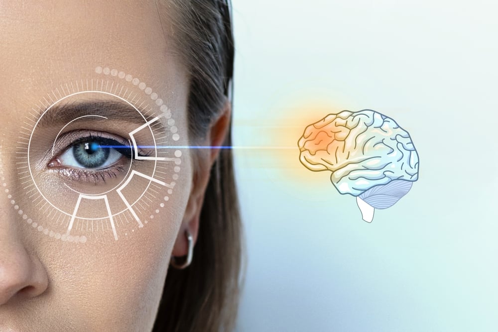 The human brain