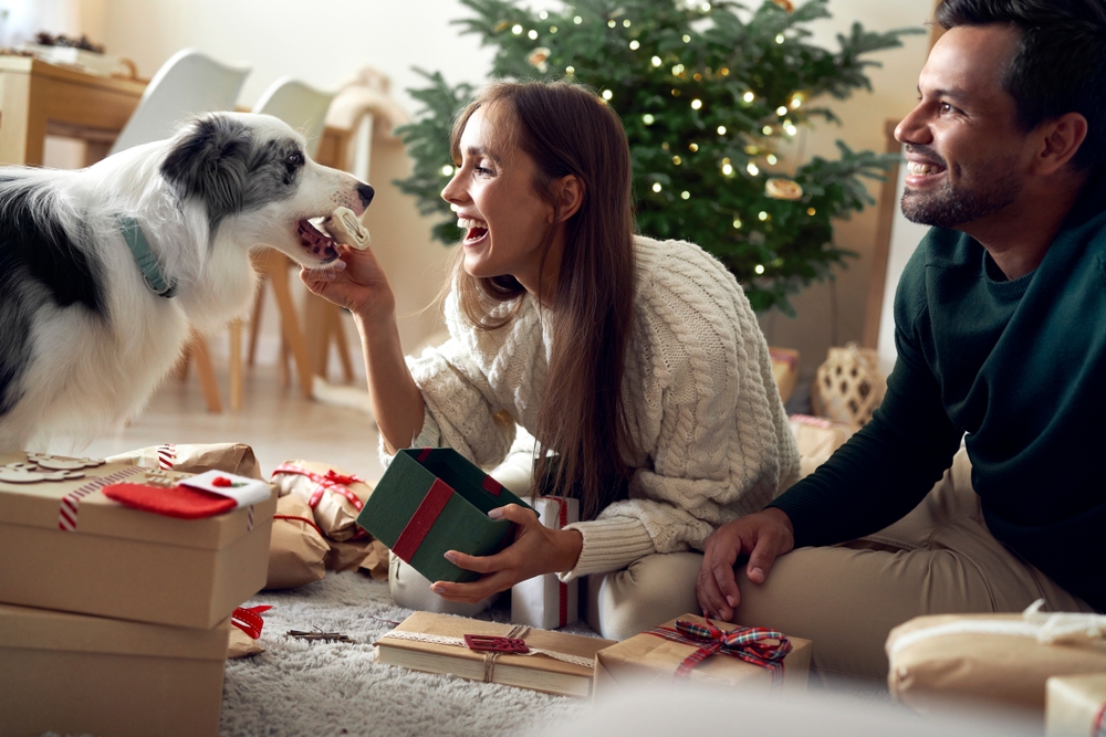 A couple and their dog at Christmastime.