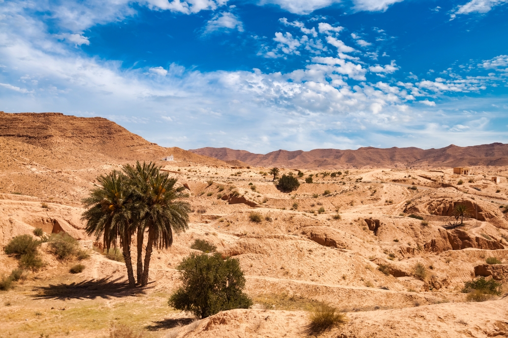 Landscape, sand dunes the Sahara Desert