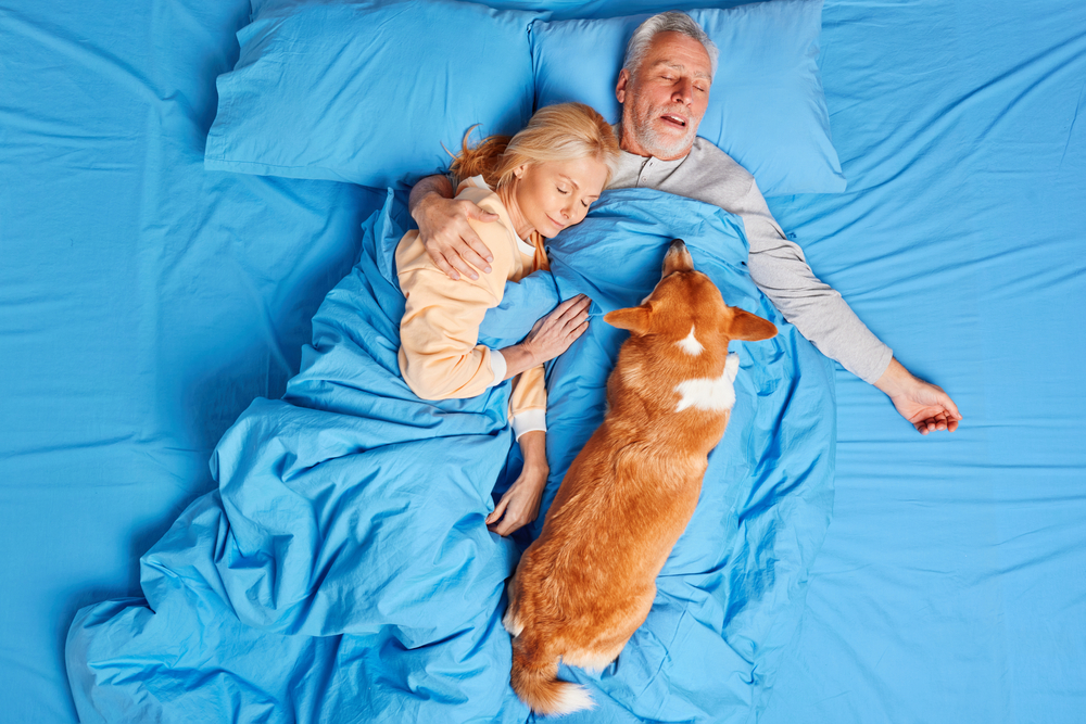 A mature senior couple sleeping together on the same bed with their dog
