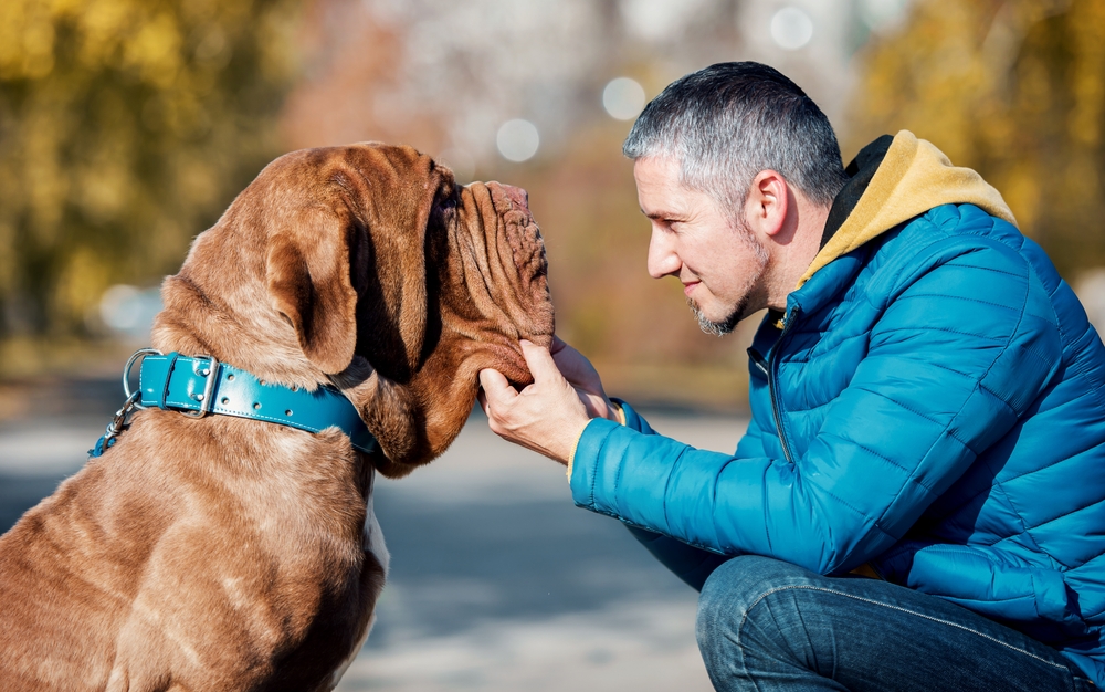A man having a solo walk with his dog.