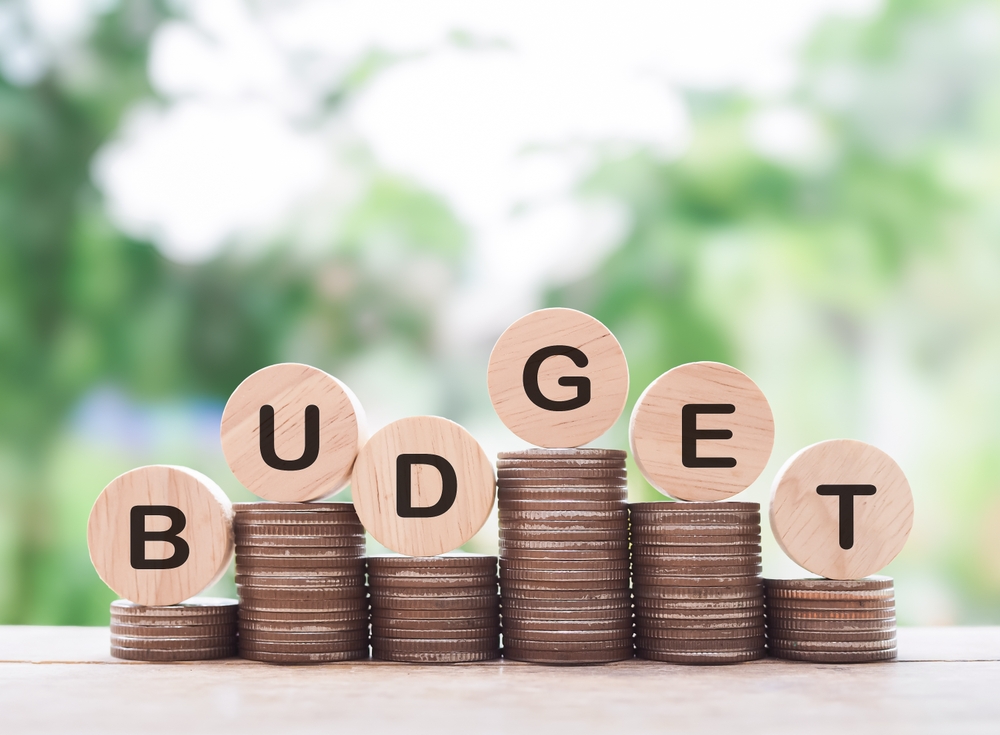 Budget coin image