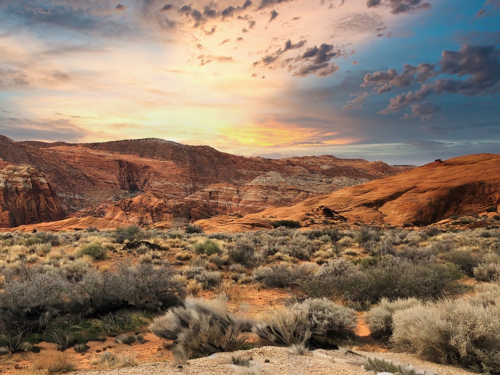 Snow Canyon State Park In Utah.