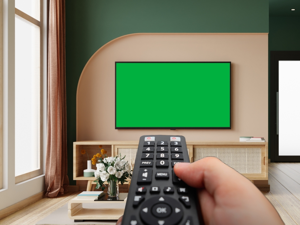 A person holding a TV remote.