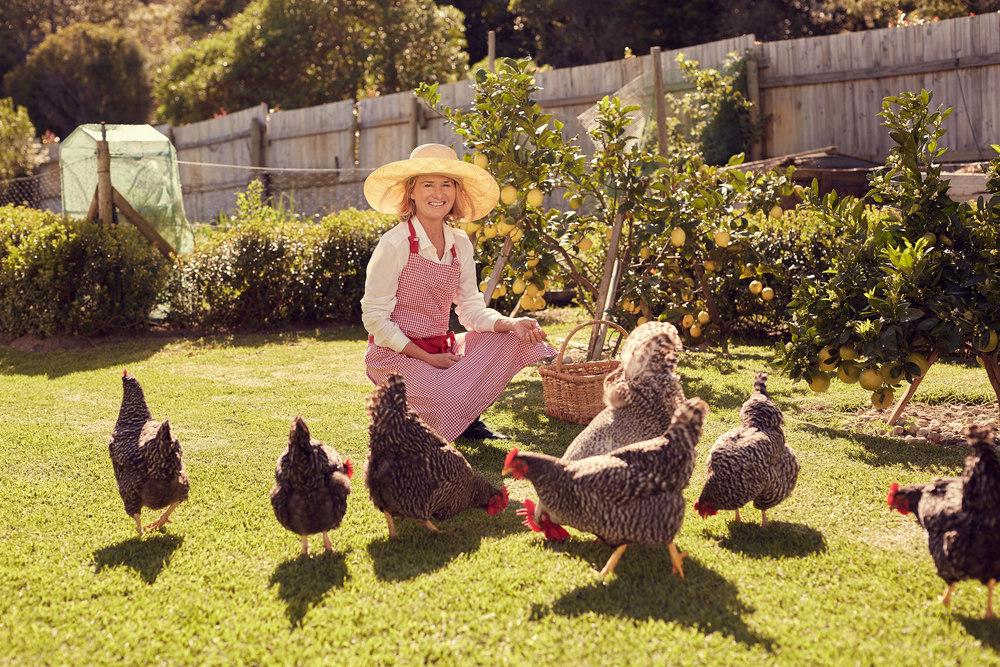 A smiling senior woman taking care of her chickens