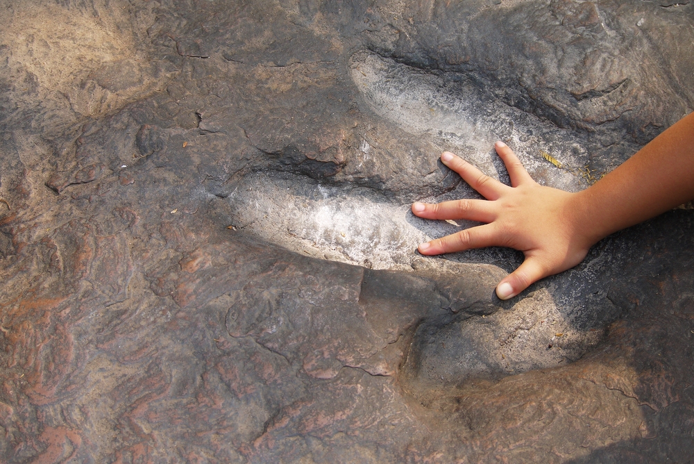 Child's hand over a dinosaur print.