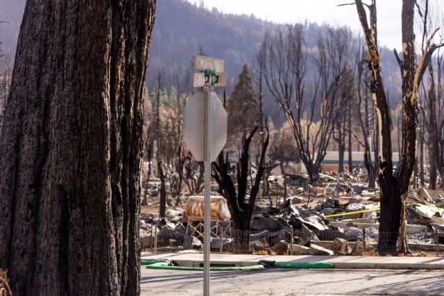Natural disaster, wildfire