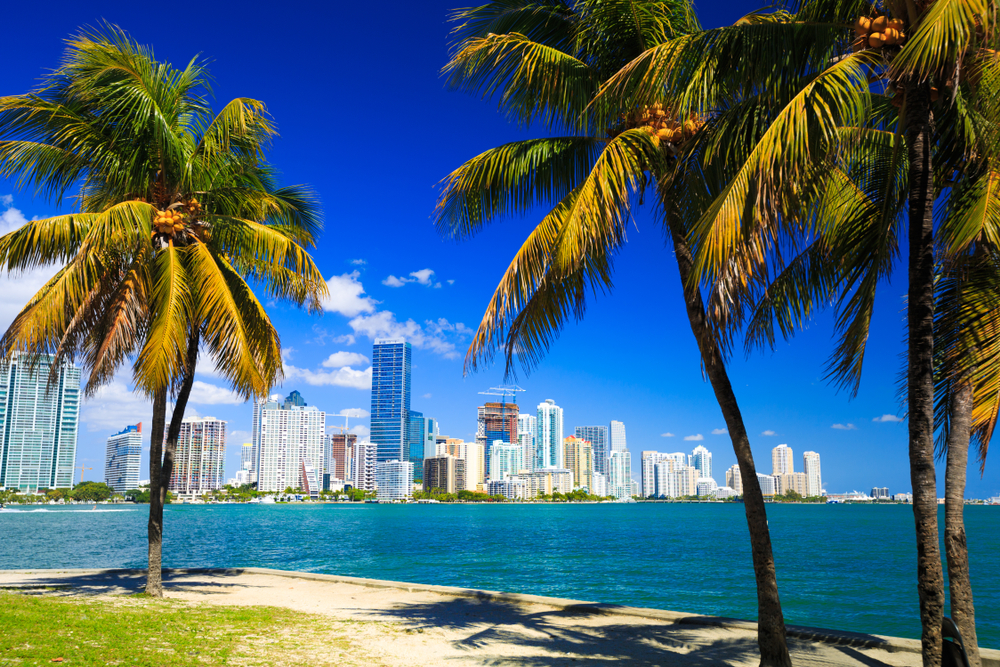 The Miami, FL skyline.