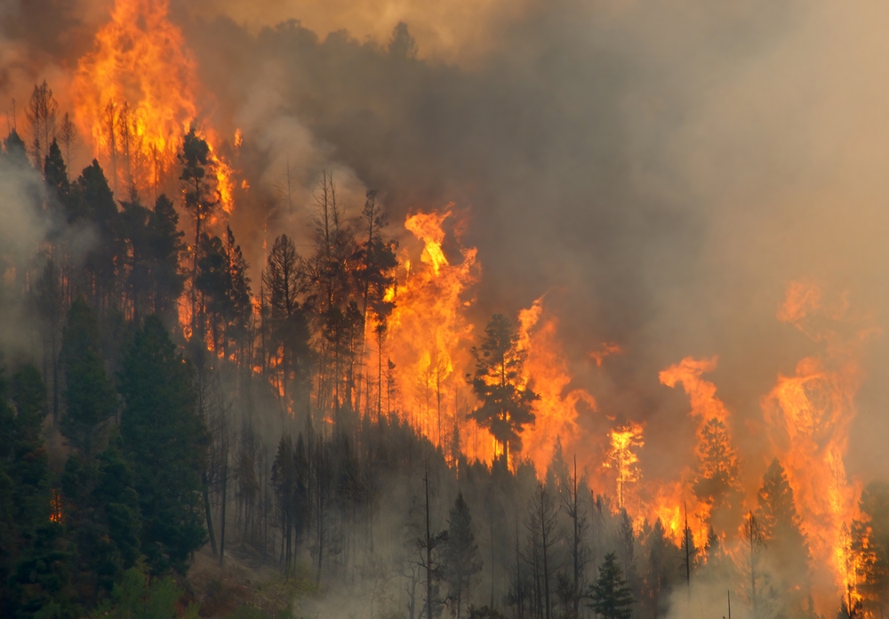 Fire on a mountain.