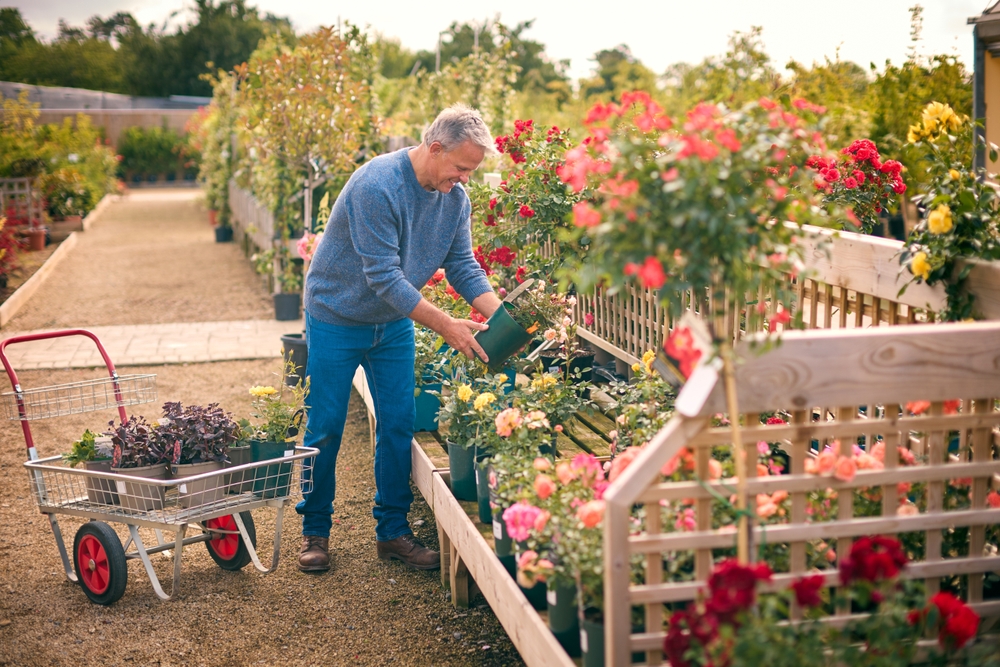 Mature man at the nursery buying plants to tend to his home garden.
