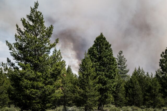 Wildfire.