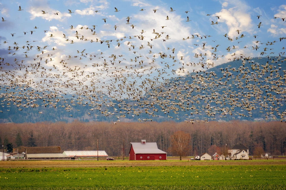 Beautiful scene in Washington state.