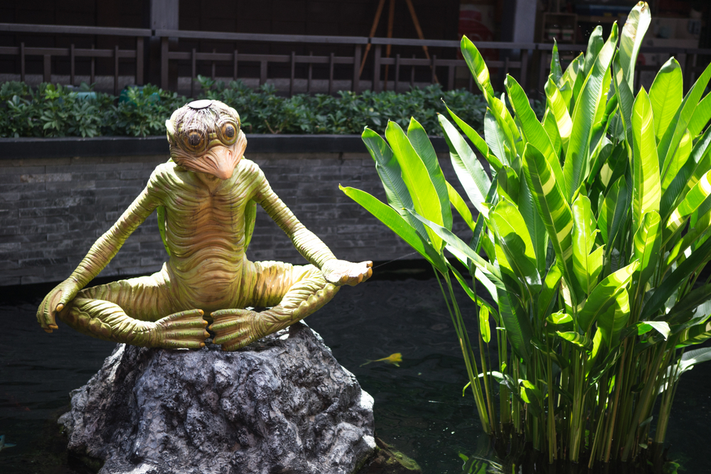 A statue in Thailand.