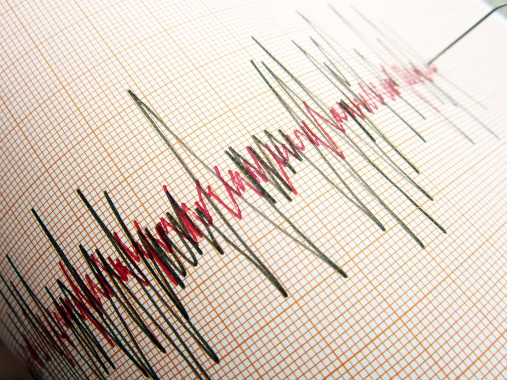 A Seismograph recording activity.