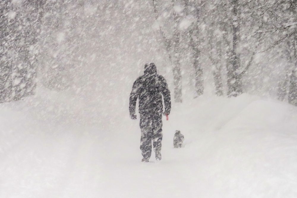 Man in a snowstorm
