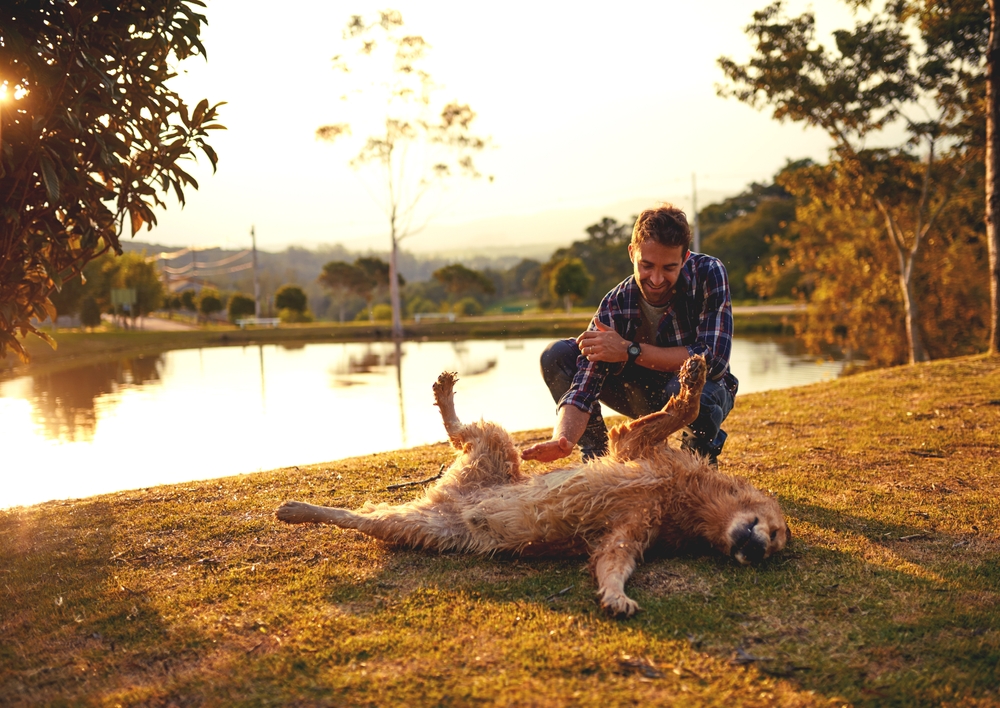 A man playing with his dog while on a walk together.
